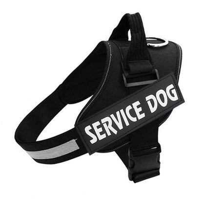 No Pull Dog Harness | Personalised