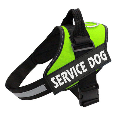 No Pull Dog Harness | Personalised