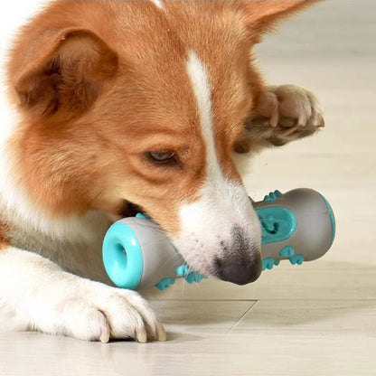 Dog Chew & Teeth Cleaning Toy