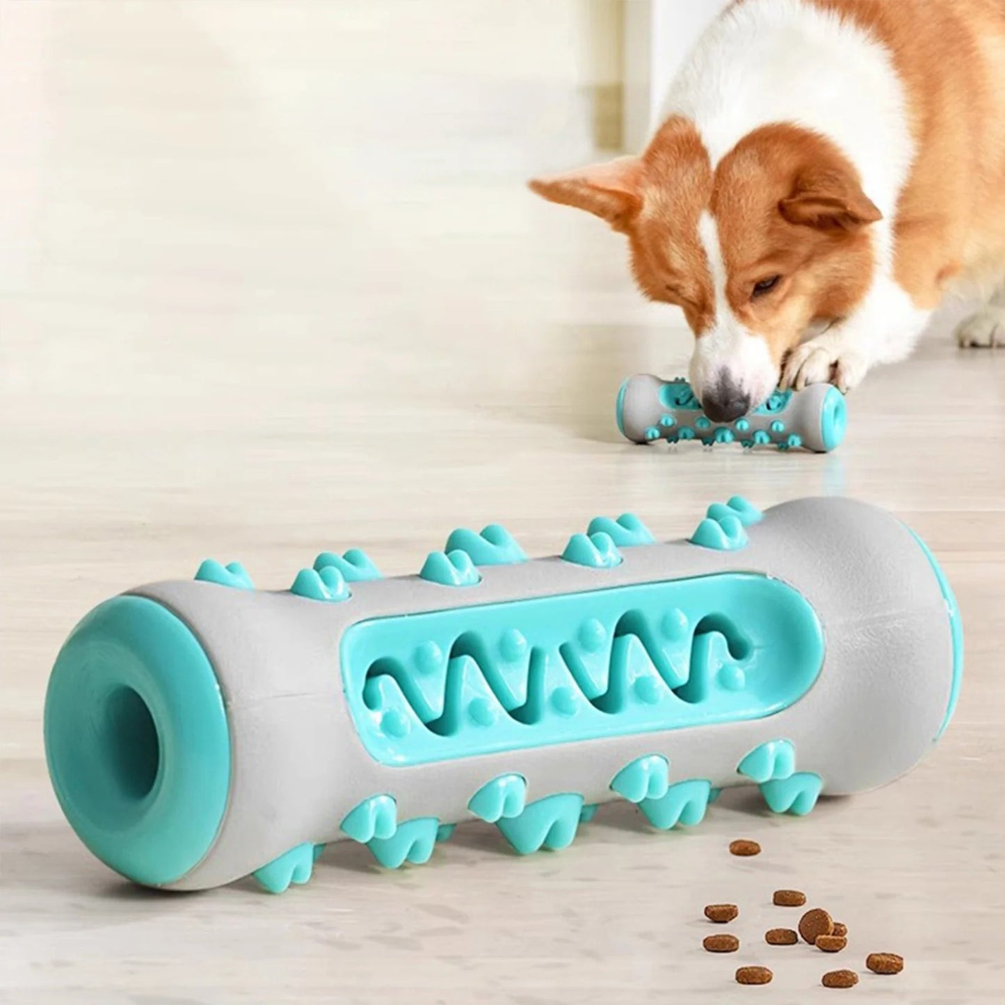 Dog Chew & Teeth Cleaning Toy
